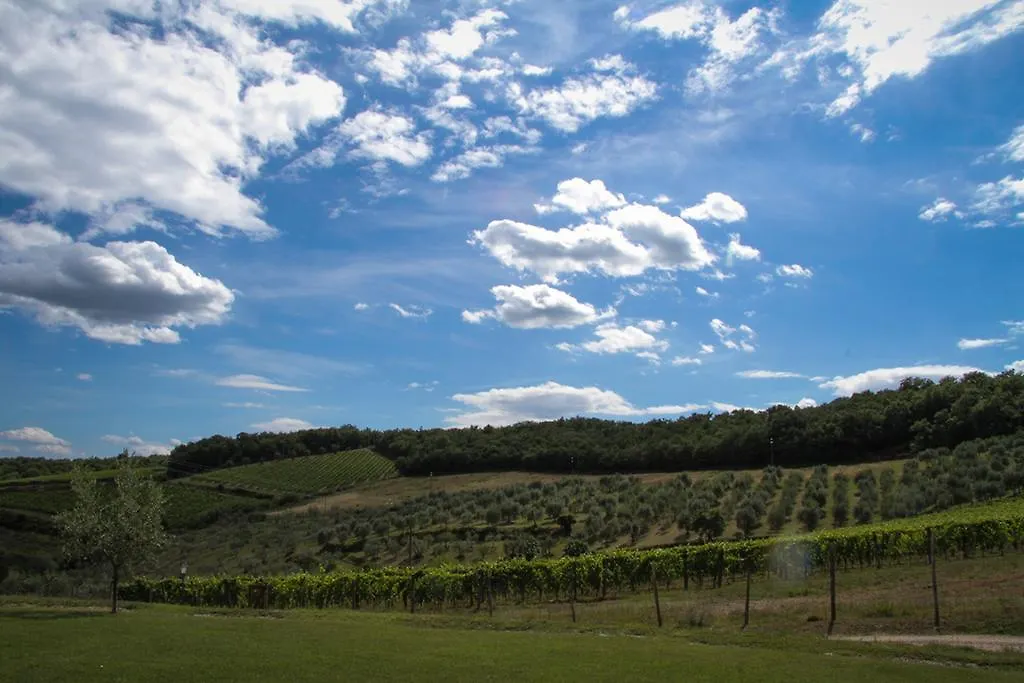 Agriturismo Panzanello Panzano in Chianti